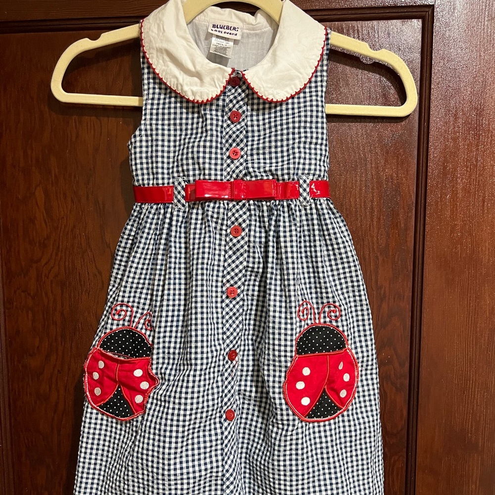 Ladybug Little Girl Size 6 Dress